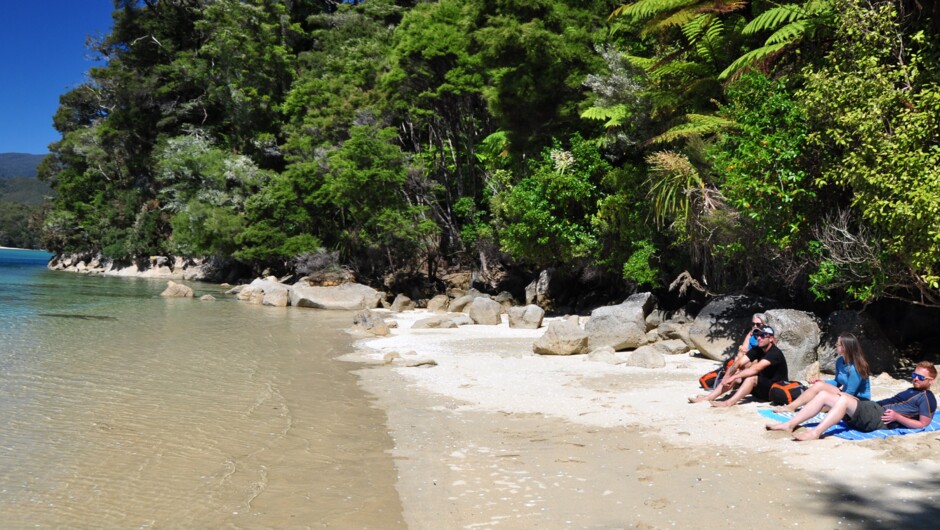 Cruise to the beach of you choice in Abel Tasman National Park.