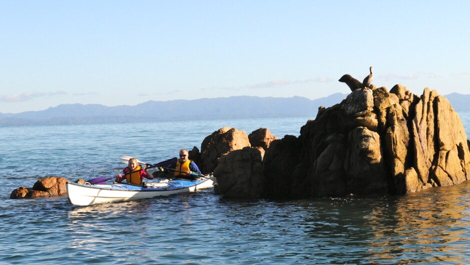 Lazy seal days. Abel Tasman Point.  Golden Bay.