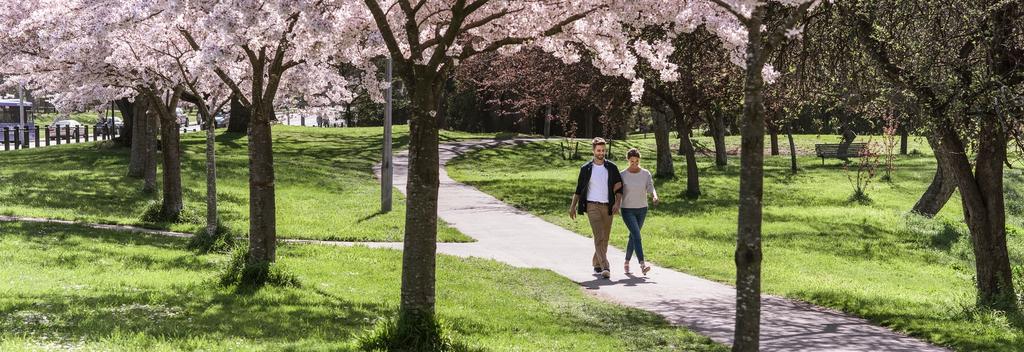 Hagley Park