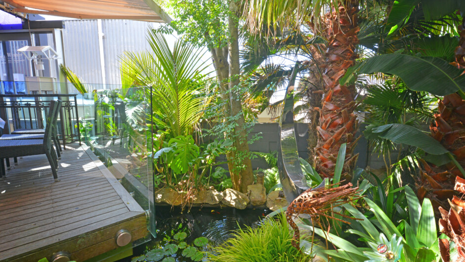 Tropical outdoor courtyard