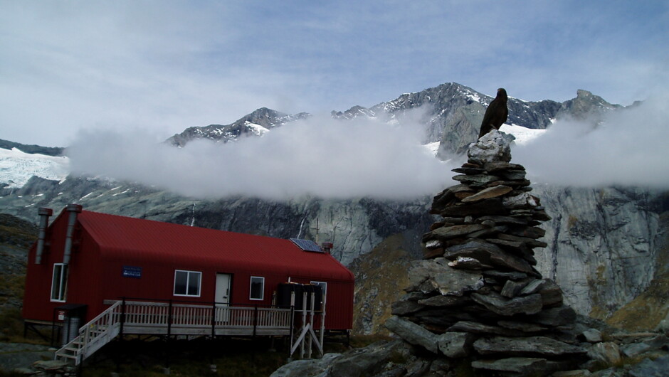 A Kea watches over French Ridge Hut