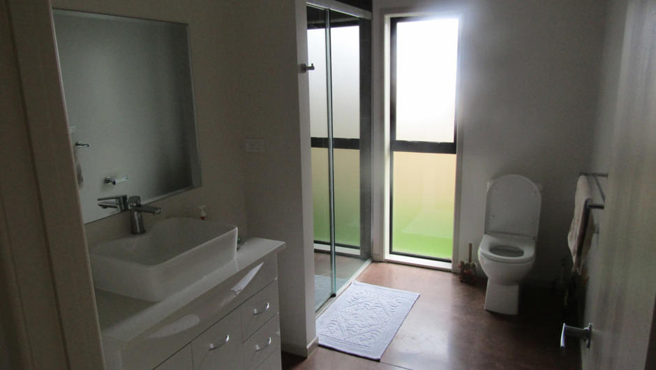 Shared bathroom with walk in shower, hair dryer