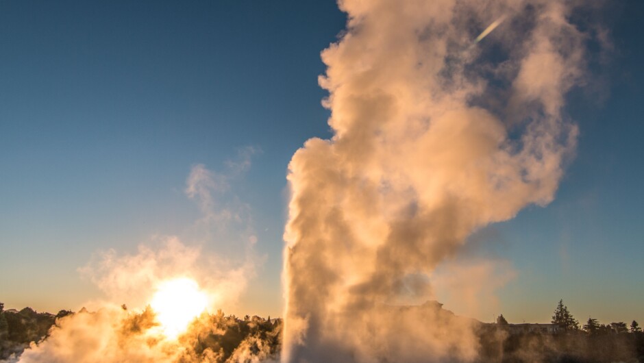 Te Puia geothermal wonderland