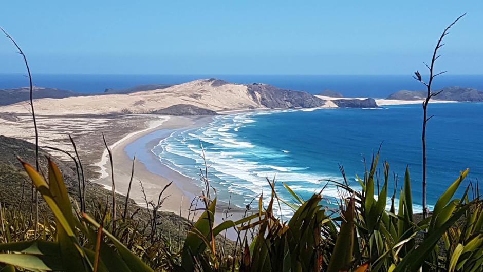 Experience the stunning scenery of NZ's Far North