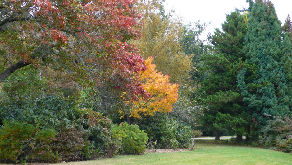Gunyah Country Estate- Autumn Colour