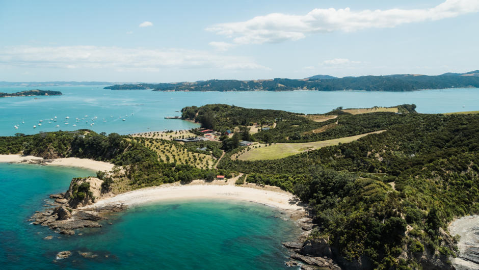 Rotoroa Island sanctuary is just an hour from Auckland, but it feels like another world.