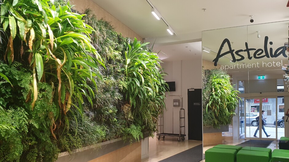 Our stunning newly installed green-wall is sure to impress and adds a great feature to our renovated lobby.