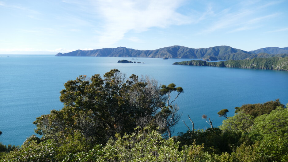 Marlborough Sounds Lookout Motuara