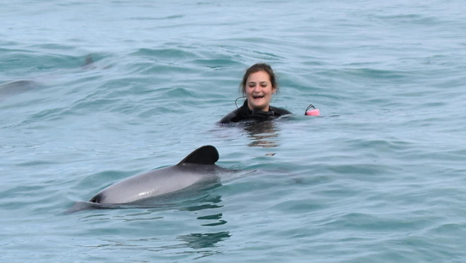Swimming with dolphins in Akaroa