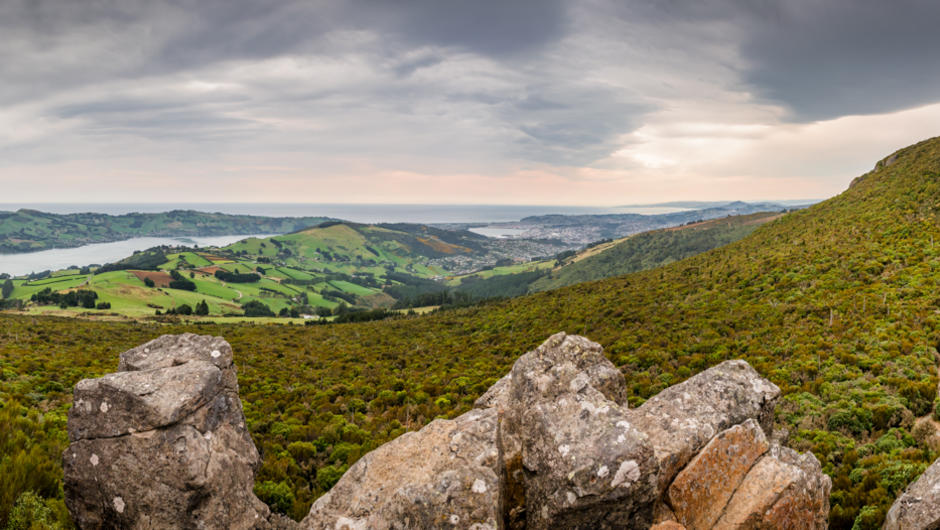 Mount Cargill panorama