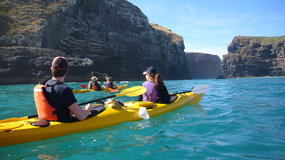 Kayakers paddling towards Flea Bay island