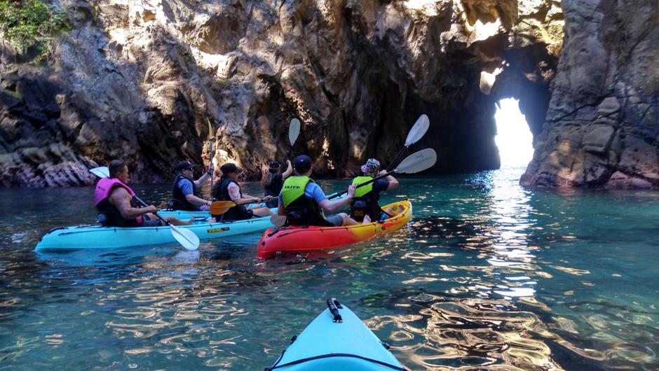 Whenuakura Island guided kayak tour