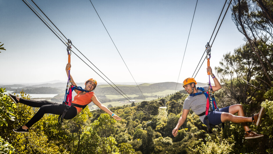 Zip above the forest canopy for spectacular views