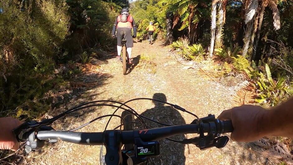 Old logging tracks on this private land offer up some great eBiking adventures