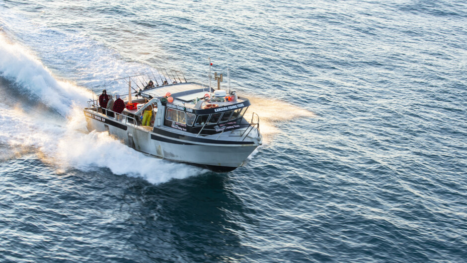 The fastest and most stable charter boat in Kaikoura