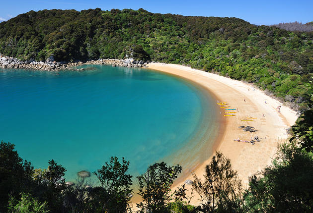 The Nelson Tasman region is a walking and hiking paradise, and home to two of New Zealand’s Great Walks – The Heaphy Track in the Kahurangi National Park and the Abel Tasman Coast Track.