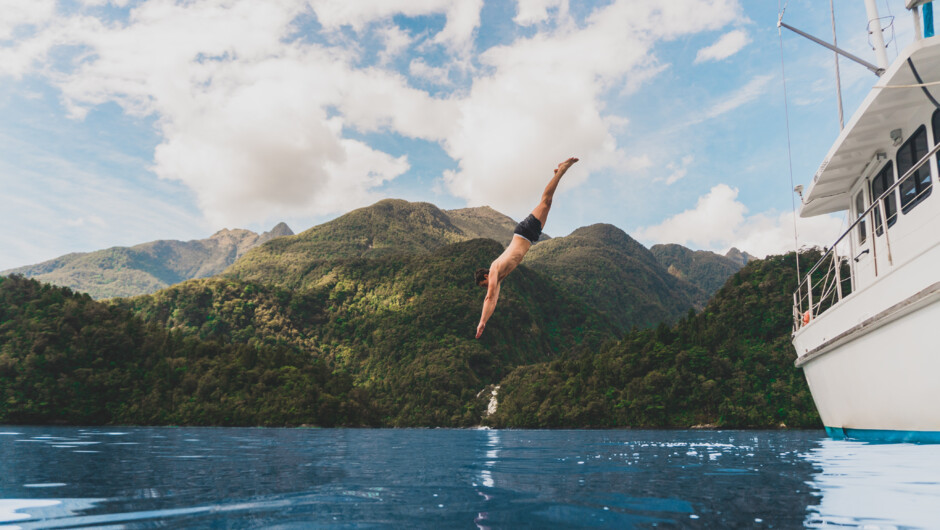 Swim, free dive, snorkel or jump into the depths of Fiordland National Park