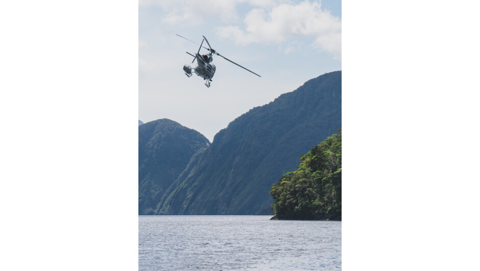 Helicopter into the heart of Fiordland to start your adventure