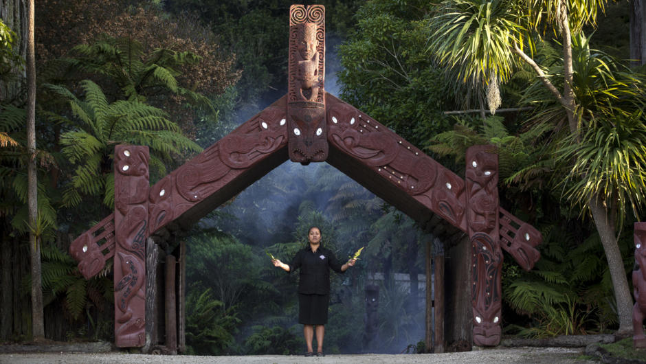 Welcome to Tamaki Maori Village