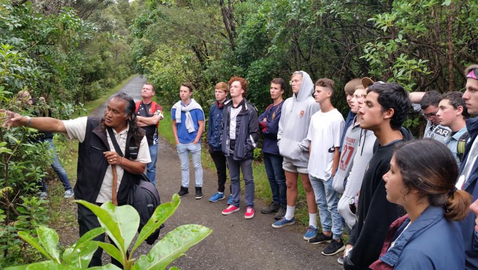 Learning about the native flora and fauna on New Zealand EES Tour with Tour Time