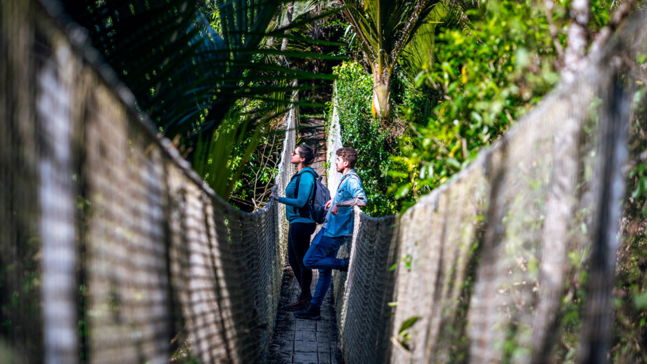 Swing bridge