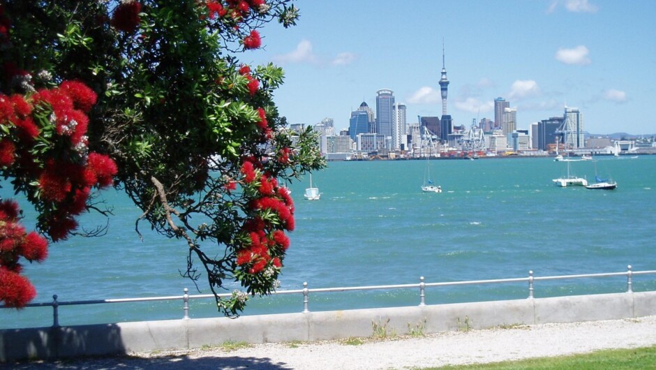 Auckland Skyline from Devonport