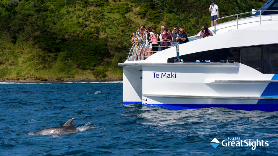 We're licensed by DOC to interact with dolphins and whales