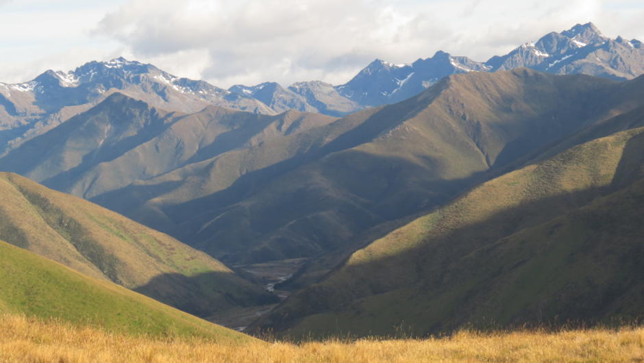 Tussock covered hills with expansive views. Take the Top Beat.