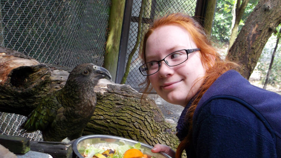 Feeding a kea on a Feed Out Tour.