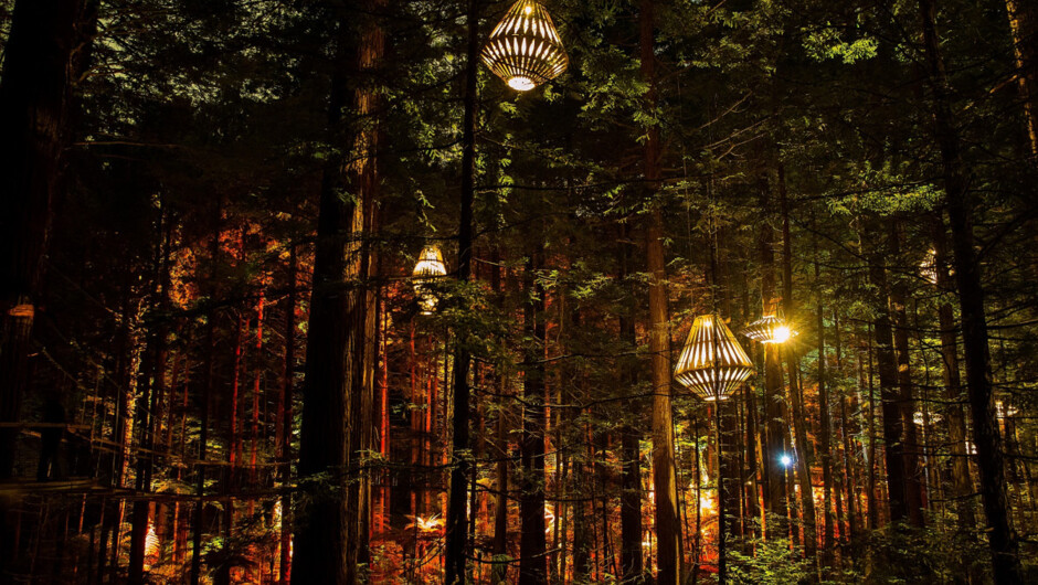 This award-winning, eco-tourism walk is 700 metres long and dotted with floating lanterns.
