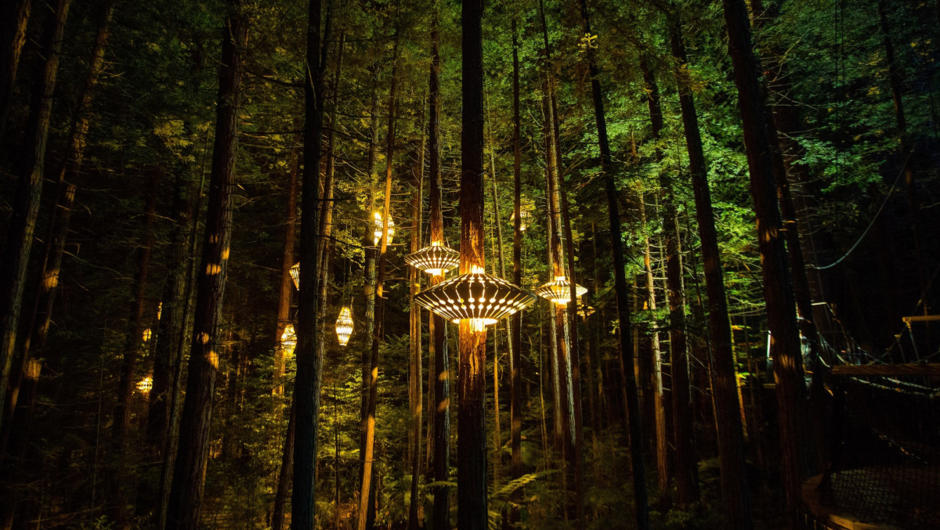 Redwoods Nightlights was designed by world-renowned designer and sustainability champion David Trubridge.