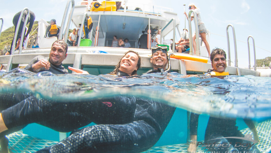 Easy entry platform to the Marine Reserve.