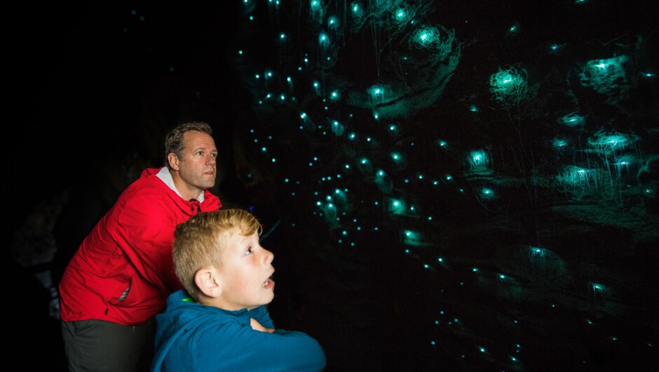 Visitors up close and dazzled by the glowworms.