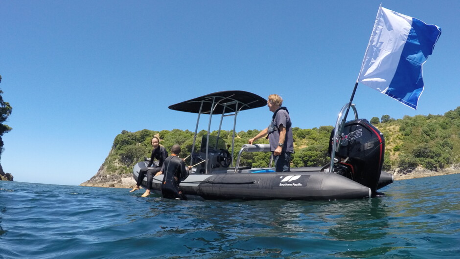 Blondini snorkel boat, Hahei Cathedral Cove snorkeling family boat tours