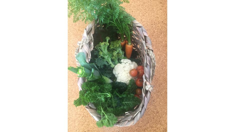 A kete showing some of the farm spray free vegetables.