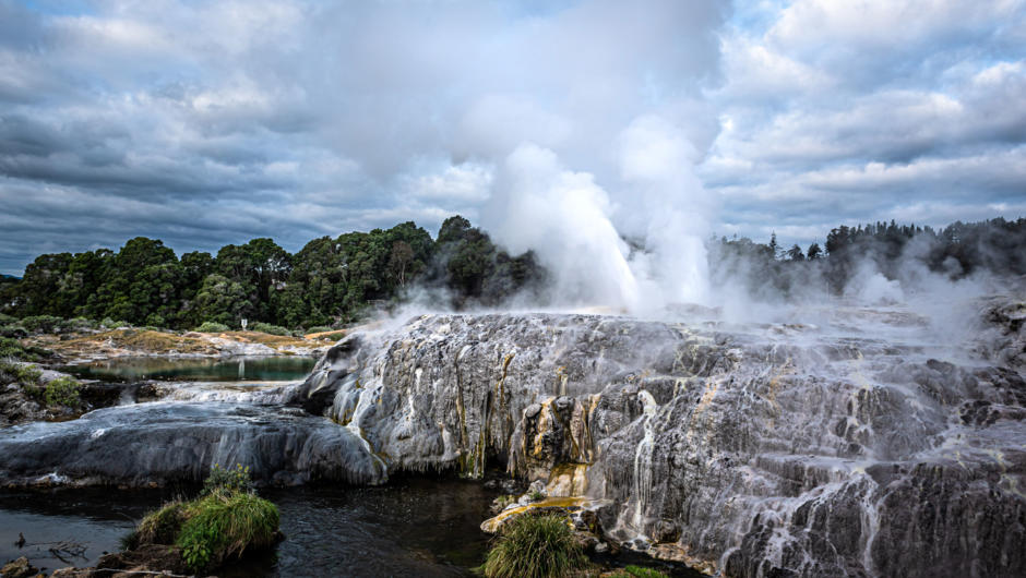 See the world famous Pōhutu Geyser, the largest active geyser in the Southern Hemisphere. She erupts at least once every hour and is totally natural.