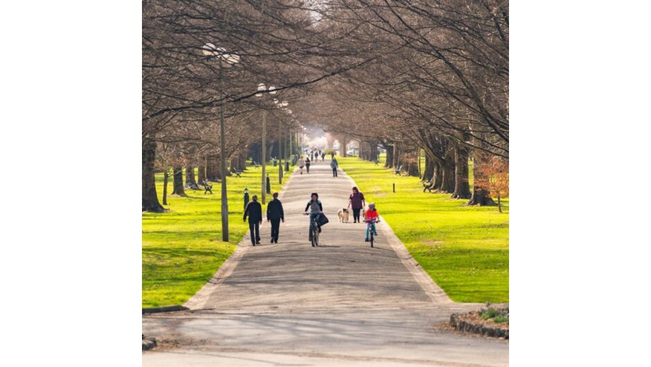 Queens Park Invercargill