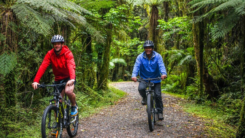 Ride through ancient podocarp rainforest on E-bikes.