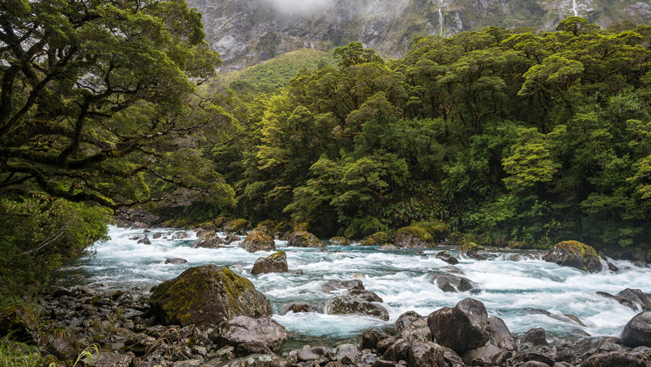 Hollyford River, Fiordland National Park