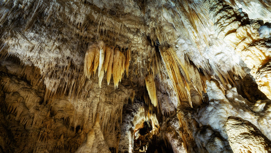 Waitomo Cave Formations