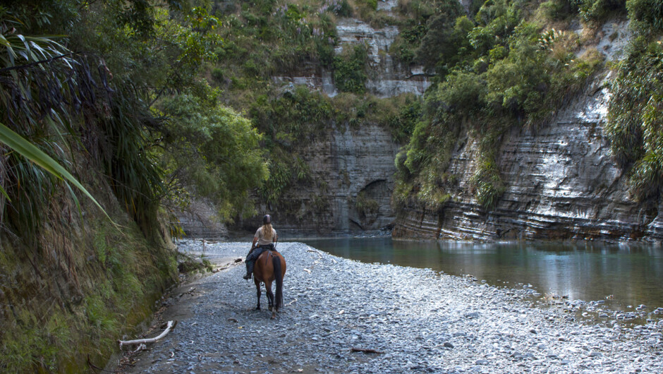 Riding through the canyons of the Rangitikei River on a Lodge to Lodge 2 day horse trek with River Valley Stables