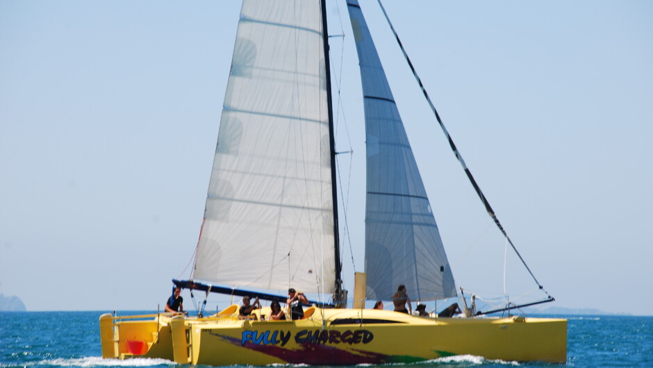 Our catamaran is fast, smooth and stable.