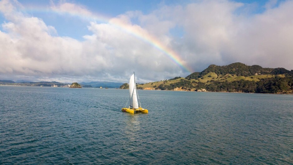 Nothing beats being on the water! The Coromandel is waiting to be explored