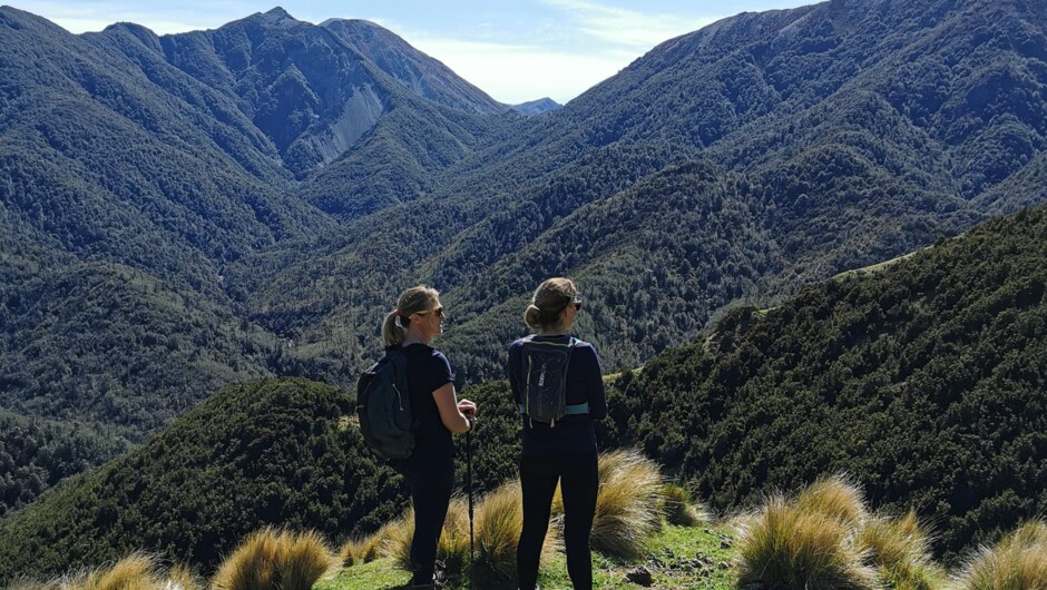 Stopping to take in the views on the Island Hills Station private walking track.