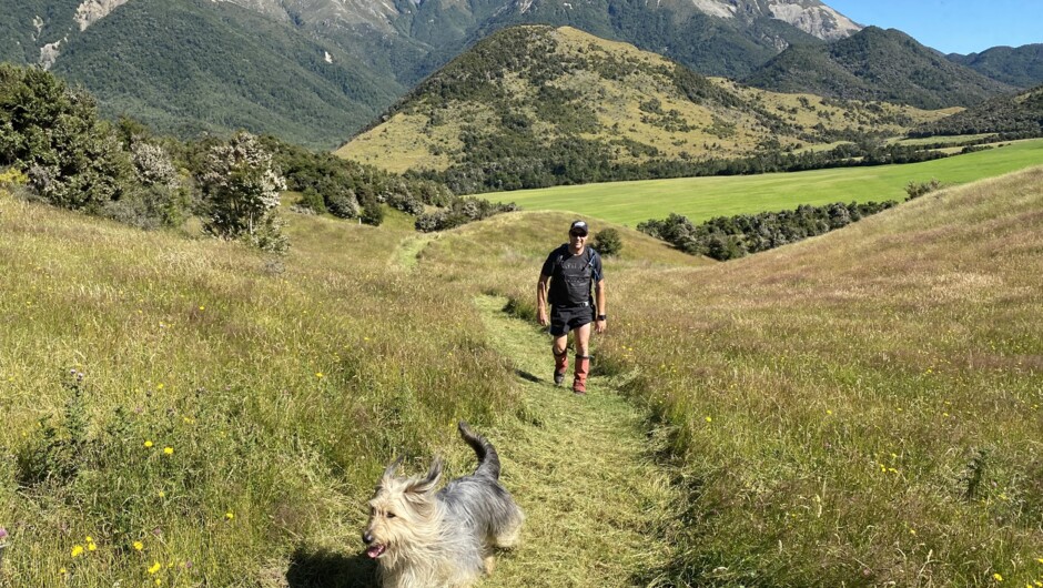 Dog friendly private walking track.