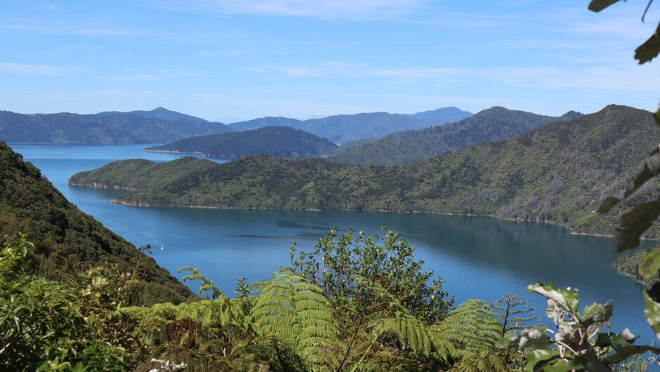 Views over the Queen Charlotte Sounds