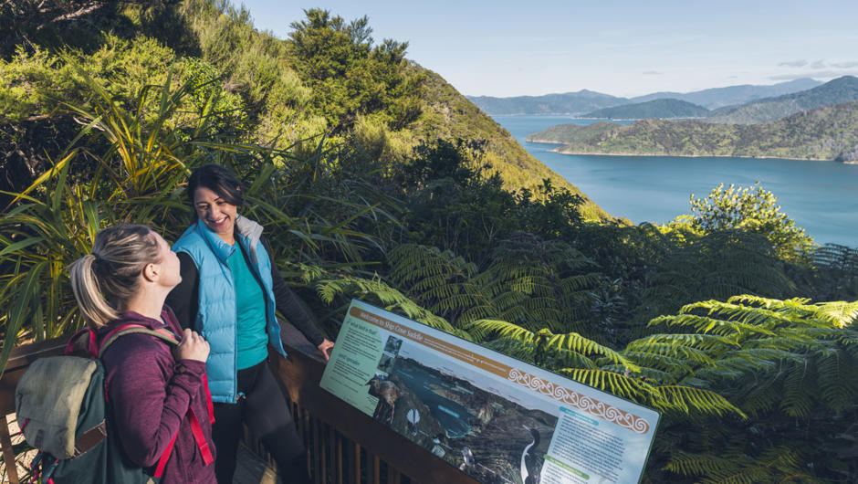 Walker stopping to admire the view from the top of the Queen Charlotte Track