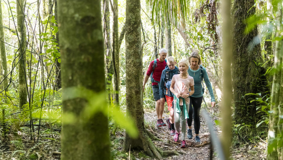Family walking along the Queen Charlotte Track through native bush