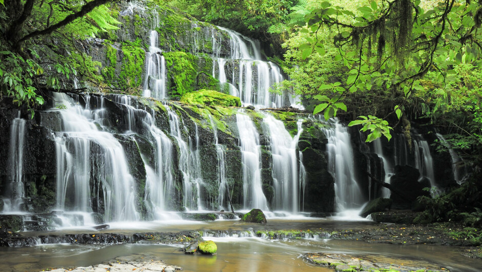 Pristine nature walks