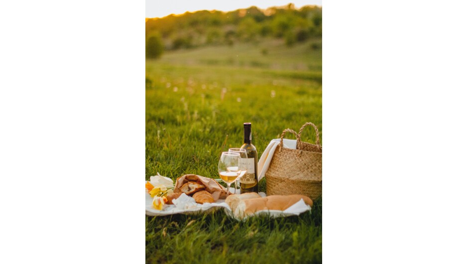 Your picnic laid out by your pilot